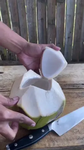 The Coco #klamud #kelapa #coco #viral #fyp 
