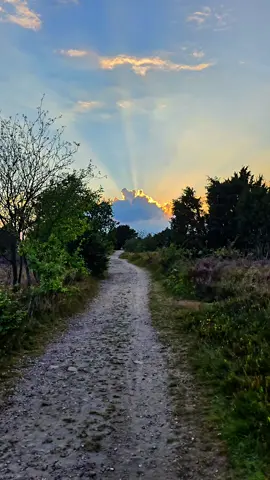 This sunset felt absolutely unreal, it was beautiful, it felt like a warm embrace from the sky 🤍 #sky #sunsets #sunset #aestheticvideos #aesthetic 