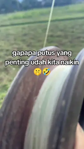 #fypシ゚viral #layangfiral #layangan #fypシ 