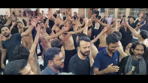 #الودع کربلا والوں
