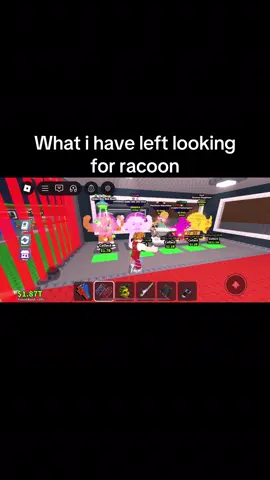 #racoon #sab #gag