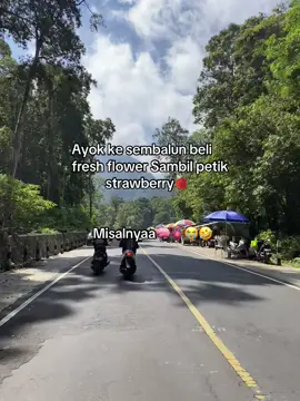 Sembalun dan sembalun lagiiiiiiiiii🥲🤏🏻#foryourpage#sembalunlombok😍 