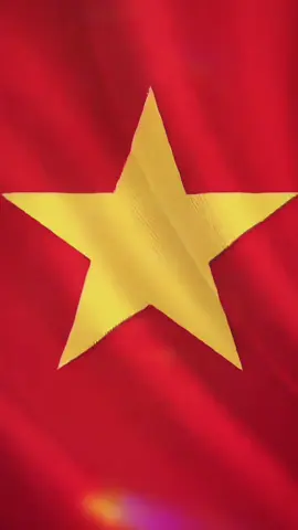 Tự hào là người dân Việt Nam trong không khí Quốc khánh 2/9 #CapCut #SUNHOUSE #TuHaoChatViet #ChinhPhucToanCau