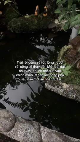 …#tamtrang #story 