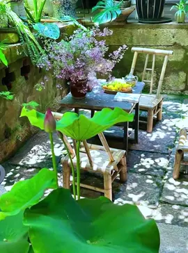 “Đời này dài rộng, ta không cầu phồn hoa, chỉ xin một mái nhà có nắng xuyên qua kẽ lá, có người tri kỷ cùng pha trà nói chuyện năm xưa.” #nămthangtinhlangkiepnaybinhyen #thegianduocmattuyduyen #bìnhyên #yêudoi 