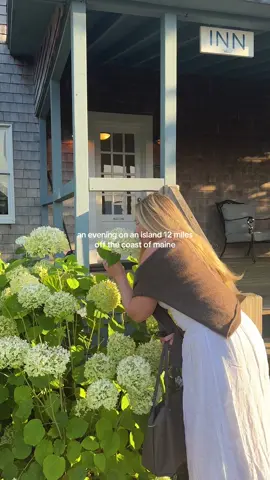a night on an island in Maine 💙 #northhavenmaine #maine #maineislands 