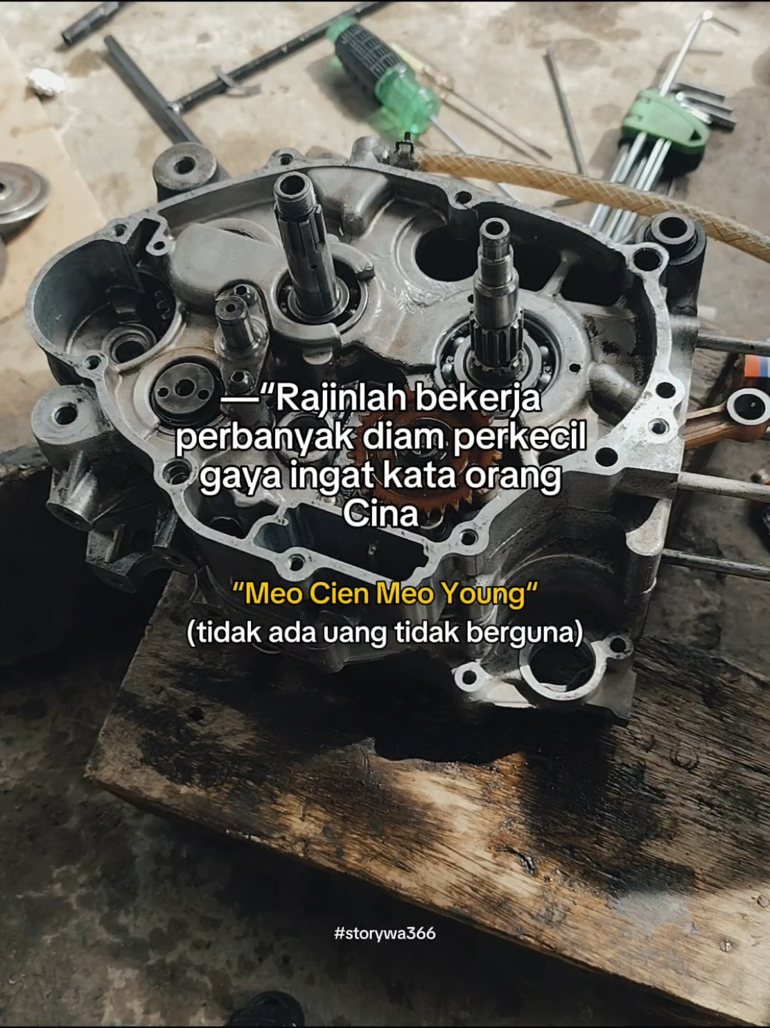ingat orang cina berkata jangan mengeluh tentang hidup mu, karena tidak ada yang peduli..  #katakatamotivasi  #motifasi  #mekniktiktok  #setoriwahatsap  @mekanikmuda predator cvt real 