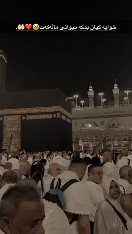 #خودایه_دڵمان_پڕبکەی_لەئیمان🤲😢 #foryou #viral 
