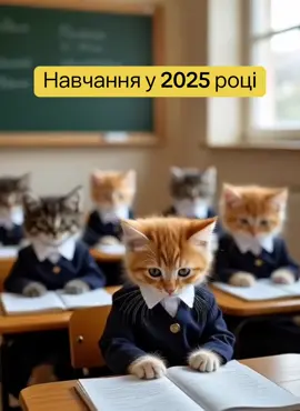Бережіть себе і своїх близьких ❤️ Реалії навчання в Україні в 2025 році.  #1вересня #школа #aicat #україна #війна 