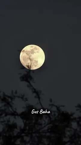 #gusbaha #ngajibareng #fyp #viral 