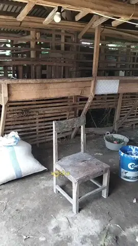 dikerjani pak tet