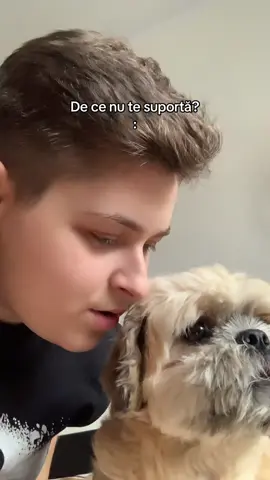 Ig:deni.dav voi ce cățel aveți?
