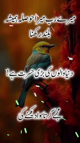 #dailyurdushayari254 #urdushayari254 #trendingurdushayari254 #urdushayari254forbeginners #exploreurdushayari254 