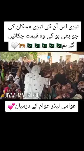 😭❤️#pmln #jiyaa_malik_786 #khan_zadi400 #pmln #foryou 