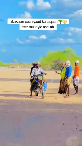 #Degmada mukeyle#hiraansomalia🌴💉💯❤️ #somalitiktok #viraltiktok #foryoupage @Xalane 77📱 @Boqorka Gajada 🔥🙌🇸🇴🦁 @mk @abdifitahabdirashiid1 @aarka mukoyle 🇸🇴 @Eng yaxye @MOOGE MUQTAR @wll bashka @zakariye bio 