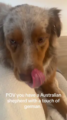 #aussie #fyp #pretty #prettygirl #dogsoftiktok