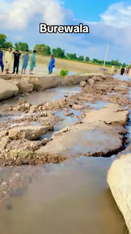 #burewala #foryou #foryoupage 