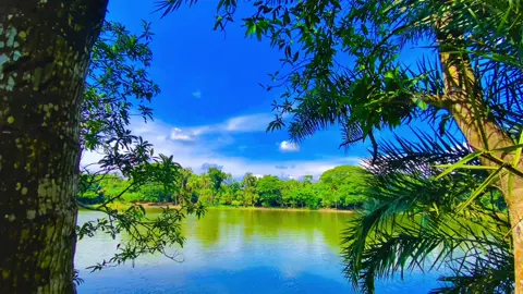 ওরে ভিউ রে সেই ভিউ এতো সুন্দর ভিউ ক্যান আমার কাছে সেইরকম লাগতেছে 😁😉 #প্রকৃতি #sky #foryoupageofficiall #anfeezemyaccont #viral_video_tiktok @kamrul_f5 