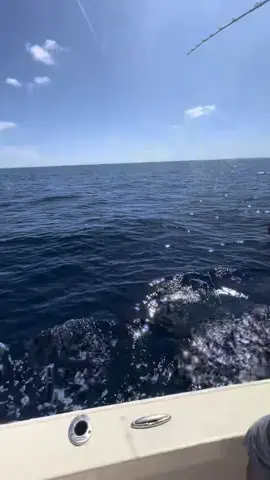 Fishing outside the beach 