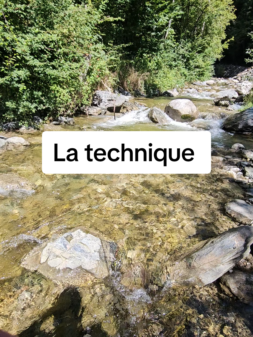 La technique la plus simple pour attraper un poisson 🐟  #peche #pechenature74 