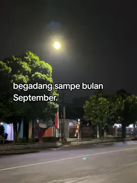 #galaubrutal 