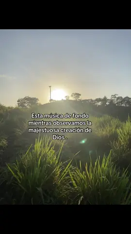 #creaciondedios #majestuosa 