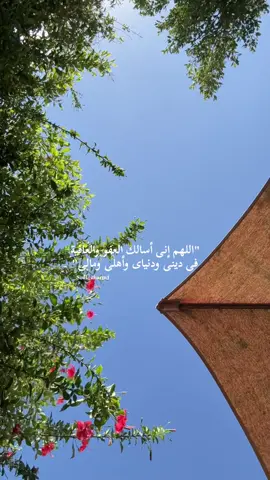 اللهم إنى أسألك العفو والعافية فى الدنيا والآخرة🌿 #دعاء #يارب #استغفر_الله #صلى_على_رسول_الله_صل_الله_عليه_وسلم #اذكار 