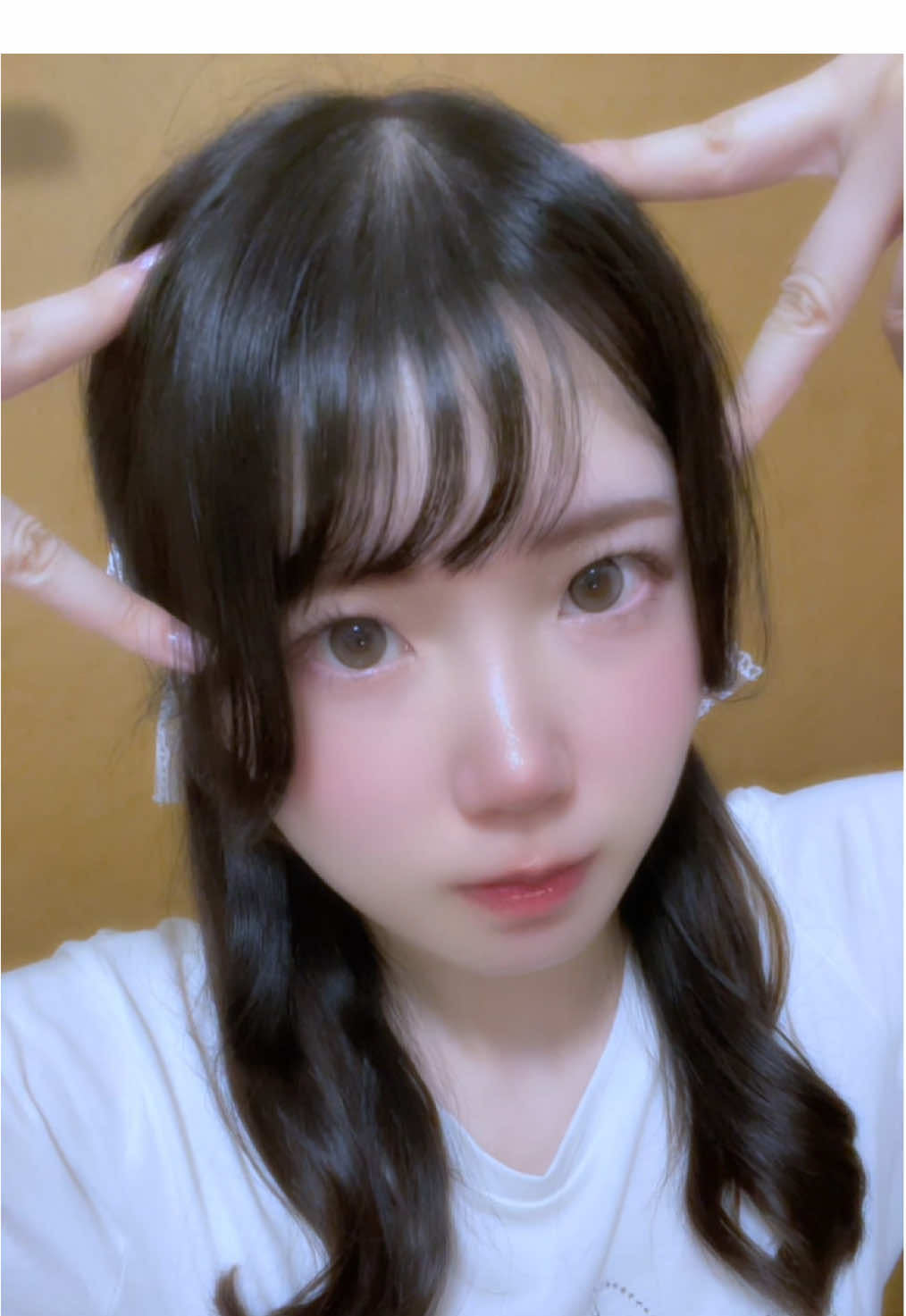 猫の呼吸🐱 #fyp #おすすめにのりたい #猫の呼吸 #猫の呼吸壱ノ型ネコパンチ 