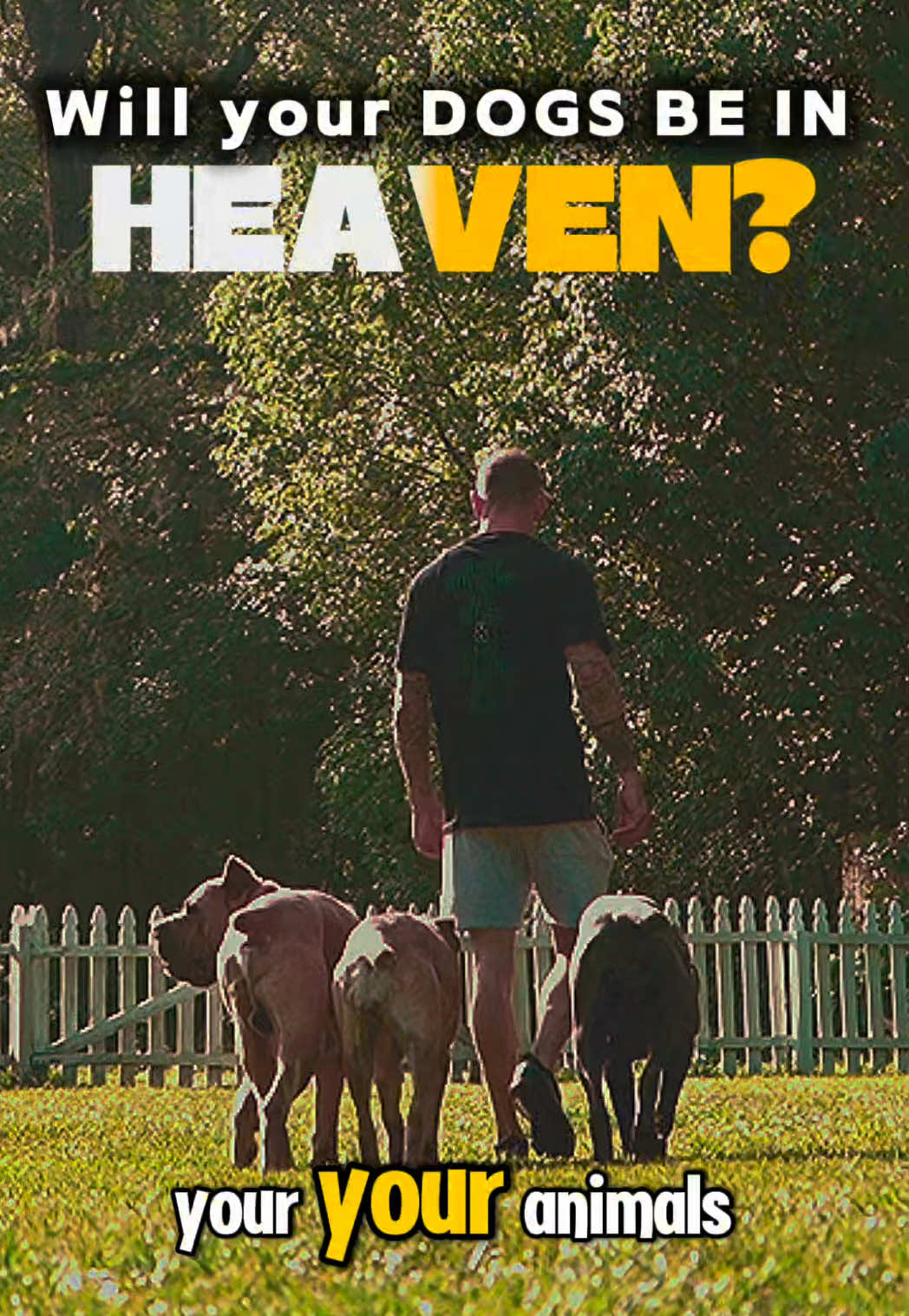 Will your dogs be in heaven? 🕊️🐾 Corinthians reminds us that the bond we share with our animals doesn’t end here. Our dogs are part of creation, and that love continues into eternity. That’s why I believe in giving them the best life possible while they’re here, because the memories you make now are the ones you’ll carry forever. If your heart still feels that space from a dog you’ve lost, maybe it’s time to open the door to another. Not to replace the one you loved, but to add to the legacy they left behind. At Big Bone Bulldogs, we don’t just raise dogs, we raise family that lasts beyond this life. 🐾 Comment ❤️ if you believe your dog is waiting for you in heaven, and DM me if you’re ready to bring a new blessing into your home.  Why Choose Big Bone Bulldogs? ✅Located in Central Florida – Easy access for local families! ✅ Meet the parents & tour our facility – both virtually and in person. ✅ Watch your puppy grow – Livestreams from birth to 8 weeks! ✅ Top-Quality Bloodlines – Hand-selected for health, structure, and temperament. ✅ Transparency: With live streams like this one, you see exactly how my puppies and adults are raised every step of the way. ✅ Expertise You Can Trust: As one of the top bulldog breeders in the country, I’m committed to responsible, ethical breeding. ✅ A Risk-Free Experience: The bulldog market can be full of scams, but with me, you’ll get a trusted breeder who delivers top-quality puppies. ✅ Health Guarantee – Our puppies come vet-checked, vaccinated, and well-socialized. ✅ Lifetime Support – We guide you through every step of your puppy’s journey. ✅ AKC registered, health-checked, health guaranteed and raised with care. ✅ Nationwide Shipping – Bringing your perfect puppy to your door, anywhere in the U.S. RESERVE YOUR PUPPY NOW https://bigbonebulldogs.com/contact 🌐 Visit our website: https://www.bigbonebulldogs.com/ 🌟 Subscribe to our channel for more adorable Bulldog content, updates, and tips on raising your dream dog!  https://youtube.com/@bulldogbreeder?si=nNukjrKMVWj1plxy #doglovers #jesus #heaven #dogs 