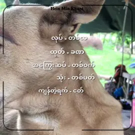 #ဘဝတူတွေရှိလား  #fyp #fypviralシ #viweတက်စမ်း #tiktokmyanmar 