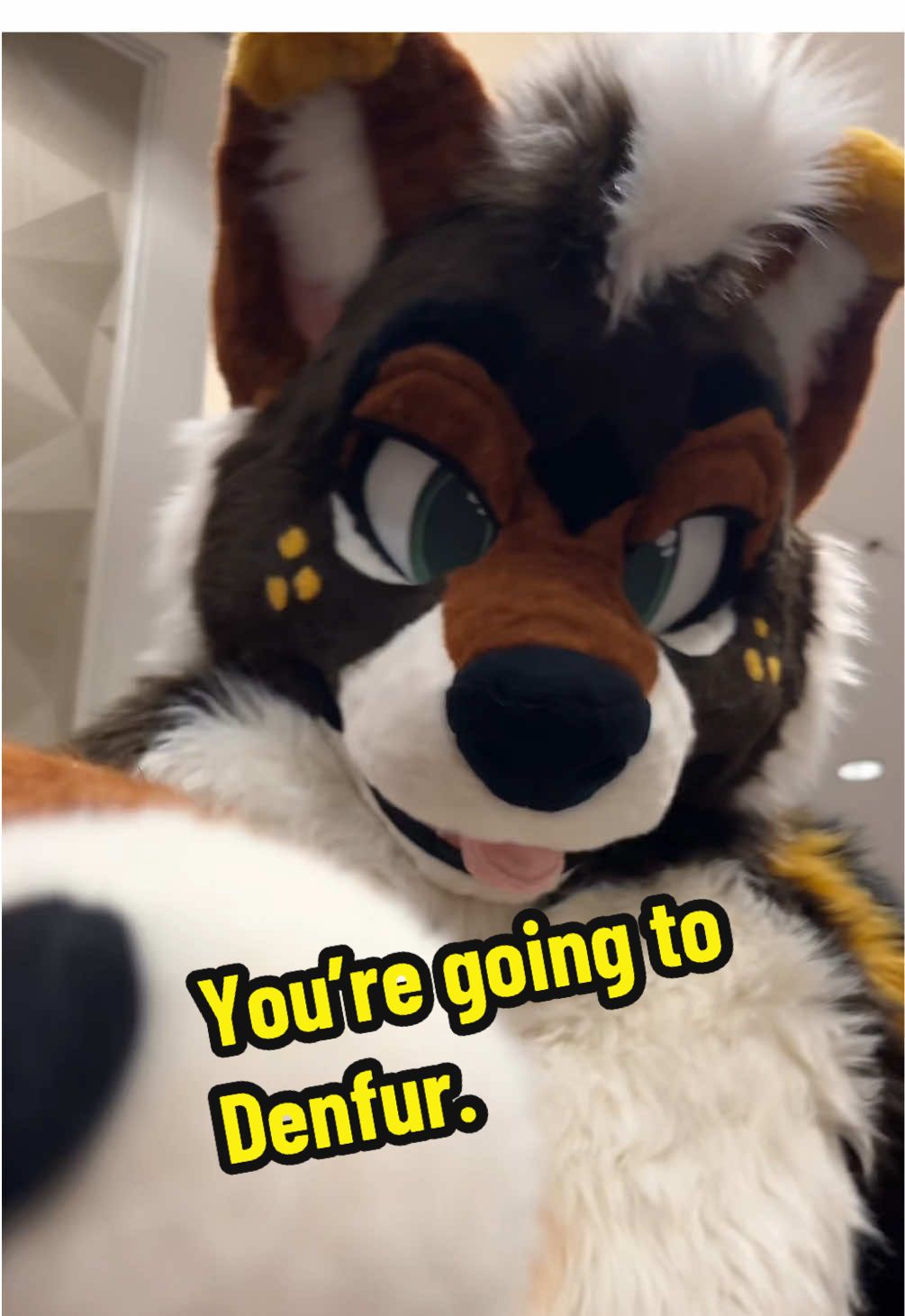 Get your hooves over to Denfur for our last day! Don’t forget to stop by the charity auction and Dealers Den before it’s a wrap! #furryfandom #denfur #denfur2025 #plushsuit #fursuiter 
