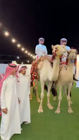 #هجيني الجعافره سبطر##