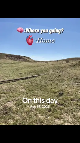 #onthisday #saltyrooster #shinysquirrelmafia #roosterbooster❤️ #keystonecowboi 