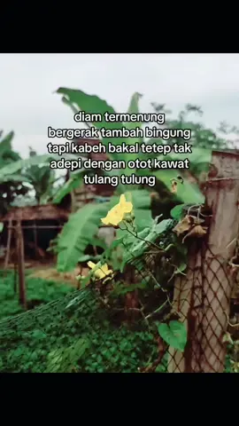 keep it 🤙#promomakangajian 