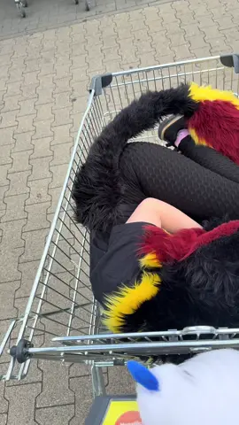 In you go :3  @Xeyla  Tags: #furry #furryfandom #fursona #furries #fursuit                   
