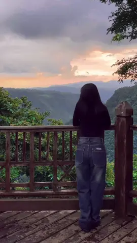 #Views တေတအားကျနေတယ်@🪵 #foryoupage #fypシ #foryou 