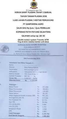 PLASMA SAWIT INVESTASI INVESTOR SUKSES #investasi #investor #kalimantantengah #fypシ #tiktok 
