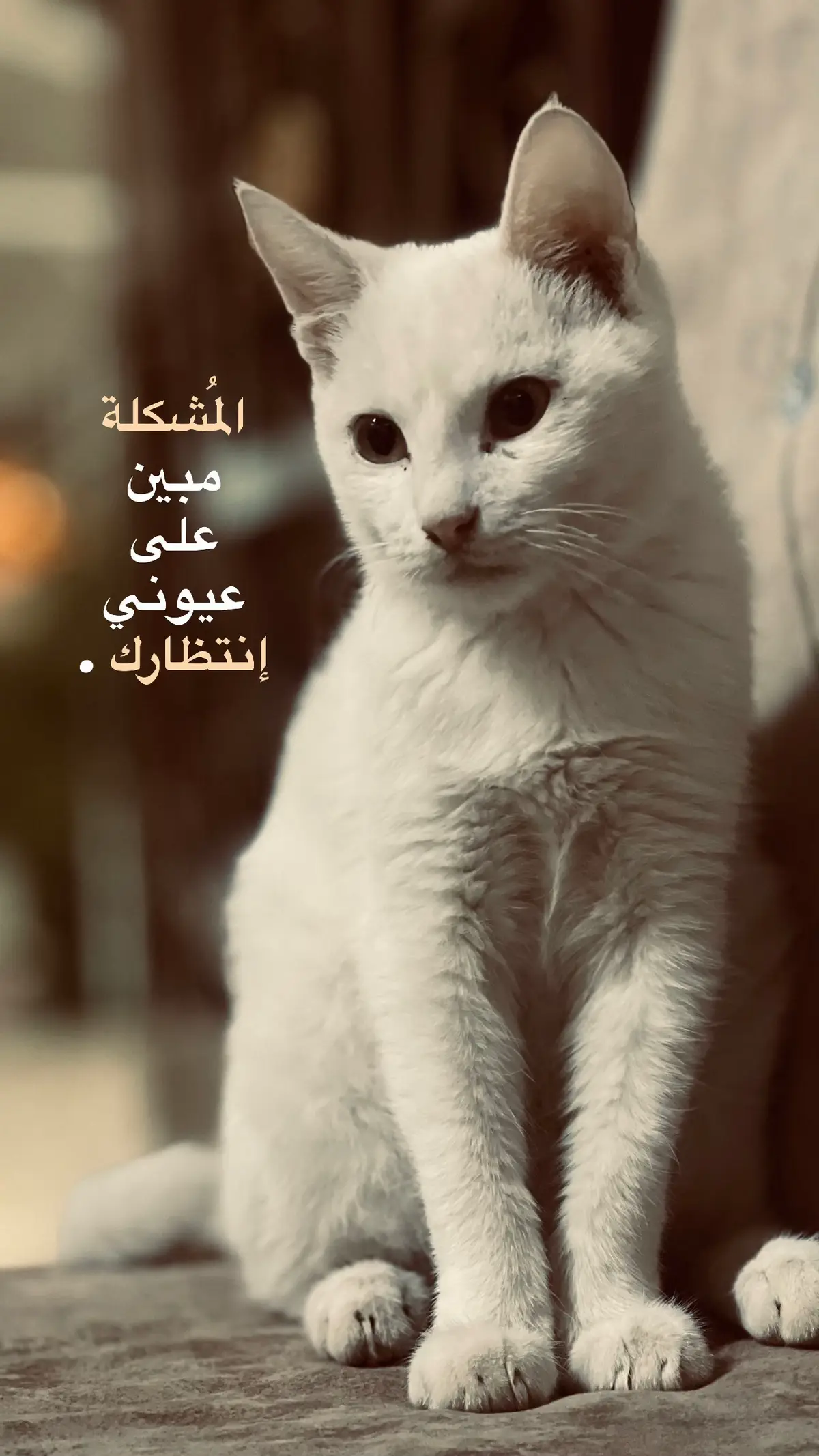 #ألم #شعور #اثر #تصويري📷 #عبارات 