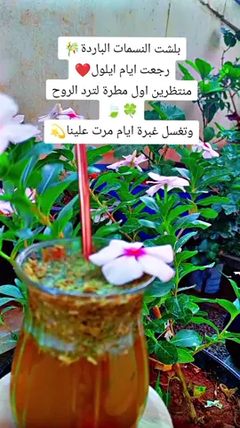 #متتي🧉_عشقي_الذي_لاينتهي🤚👑 #متتي_صديقتي🧉💚 #اعملولي_اعادة_نشر🥰 #ادلبية_ياعفوو_الله💚😌 #تصويري_احترافي_الاجواء 