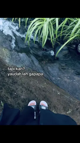 #fyp #4u 