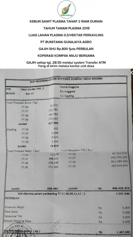 PLASMA SAWIT INVESTASI INVESTOR SUKSES #investasi #investor #kalimantantengah #fypシ #tiktok 