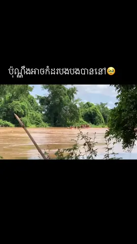 #អាចកំដរបងបងបាននៅ#viral_video @Ah Noyy🦍 @morn @Kin Duy 🖤 
