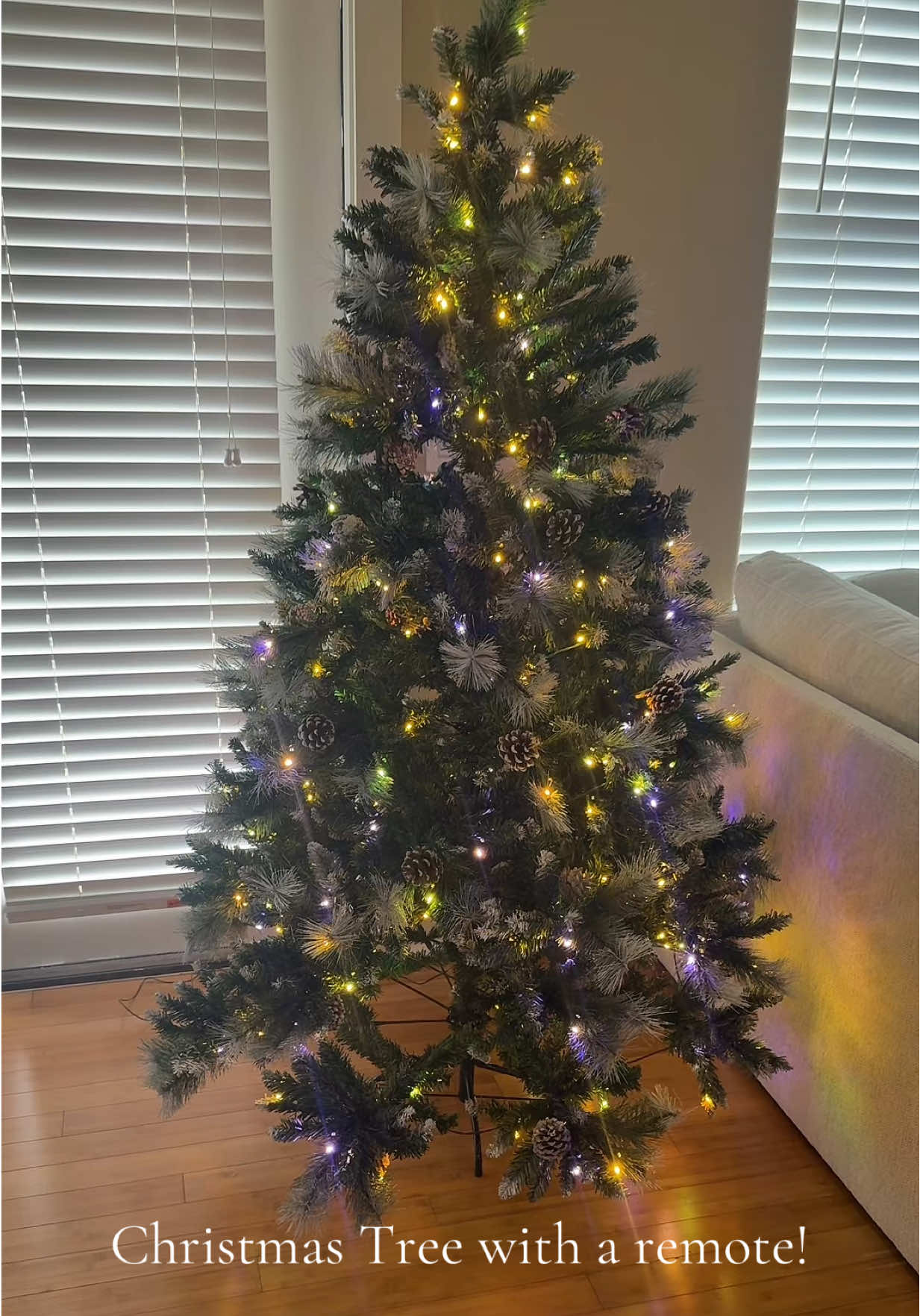 This company has ever size and every color! #christmas #christmastree 