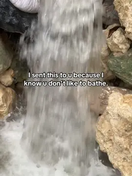 #unexpectedyouth #fouryoupage #jamaicantiktok🇯🇲viral 