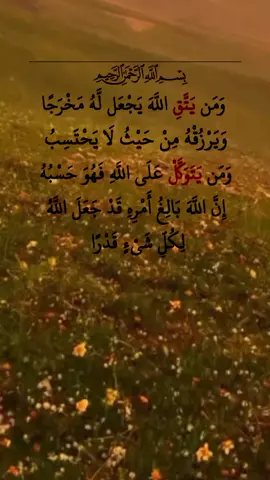 #قران_كريم #ماهر_المعيقلي #قران  #قران #تلاوة_خاشعة 