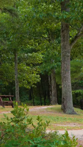 nature walks are my favorite activity aside from napping and eating