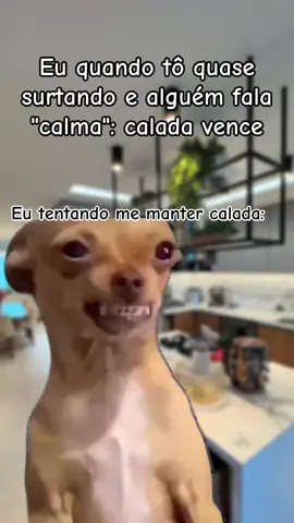 #videoviral #tiktokuni #memestiktok #CapCut #PetsOfTikTok 