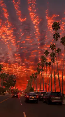 Red Sky❤️