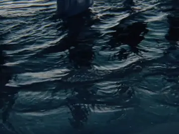 Love drought @beyonce  #lemonade #viralreels #beyoncé #lovedrought🐝🍋 #lovedrought #meditaçāo 
