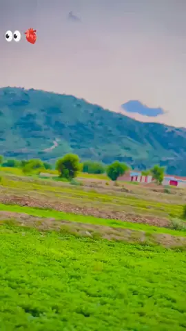 ourbashi star 🫶🥀👑#vairalvideo @Matric__FaiL🚫⚠️‼️ @꧁ℳℜ°᭄Ⱥ₮𝖎ℱ࿐ @ihsan khattak 